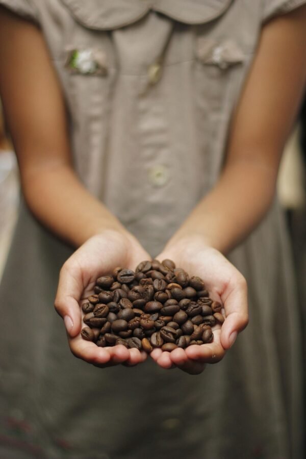 coffee, beautiful wallpaper, coffee beans, aroma, roasted, beans, espresso, cappuccino, mug, caffeine, coffee on hand, coffee cup, holding coffee beans, hand-holding, kopi, javanese, coffee background, coffee texture, background, coffee farm, indonesia, love shape, love coffee, girl holding, girl holding coffee bean, coffee seed, indonesian coffee, iphone wallpaper