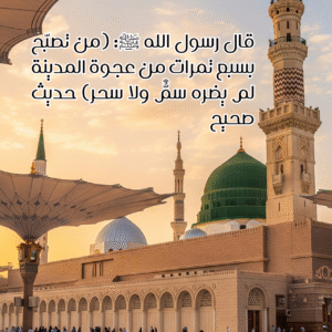 تمر عجوة المدينة المنورة
