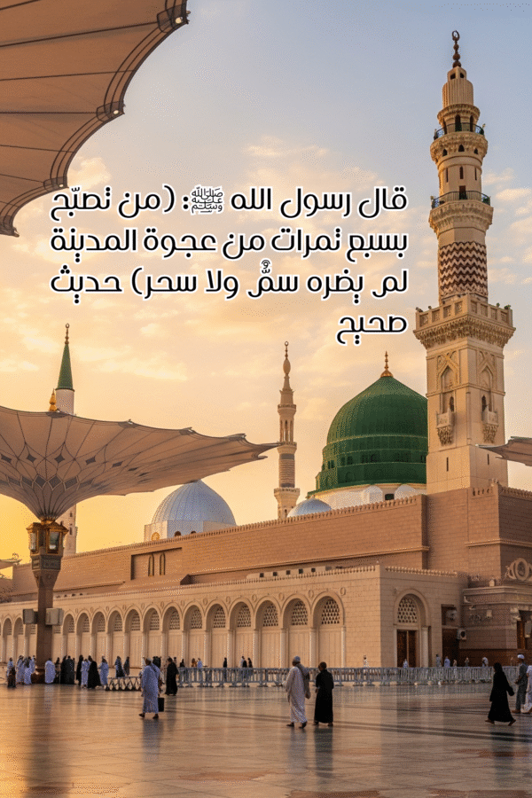 تمر عجوة المدينة المنورة