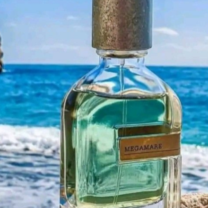 ميجامير أورتو باريزي