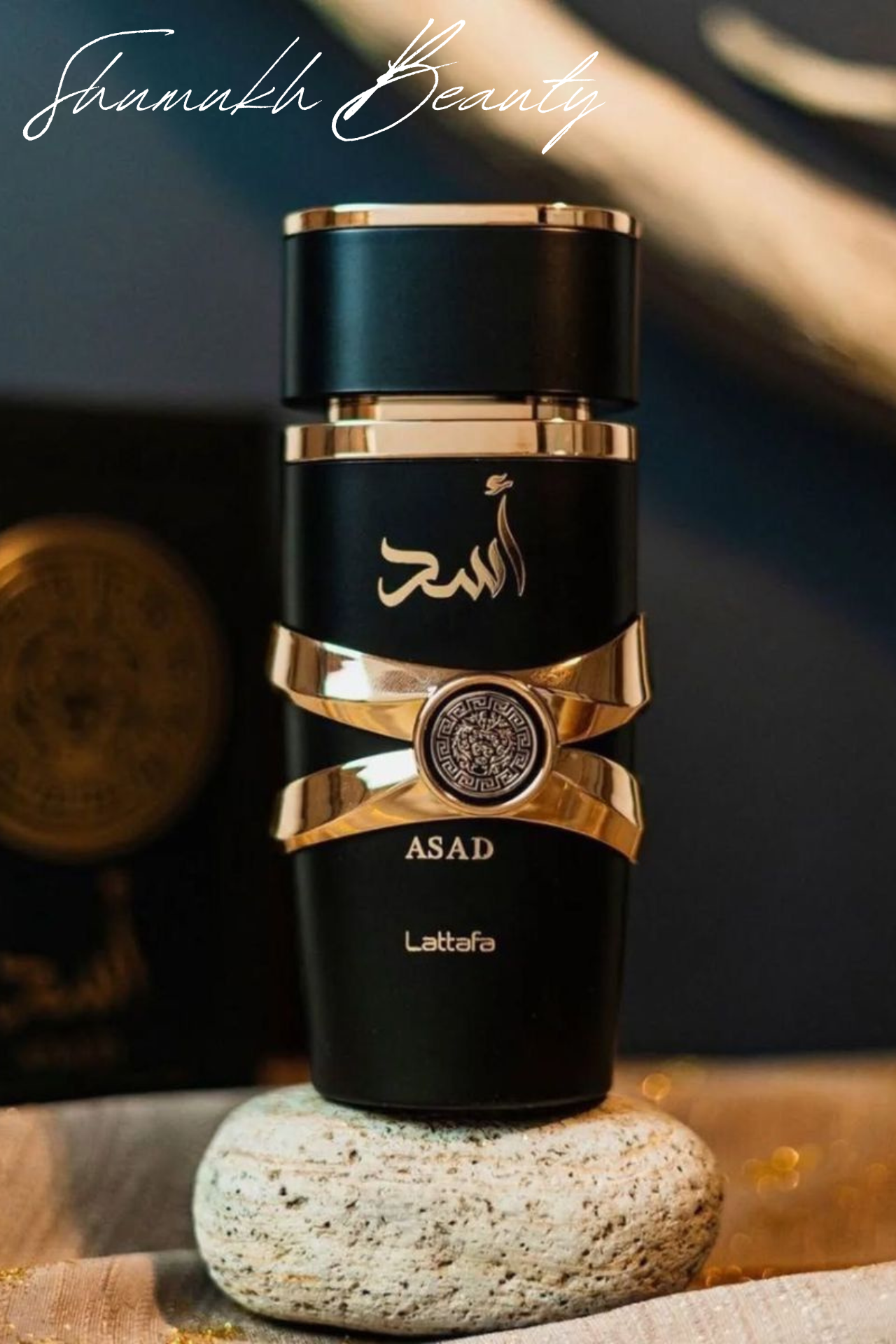 أسد لطافة أسد لطافة