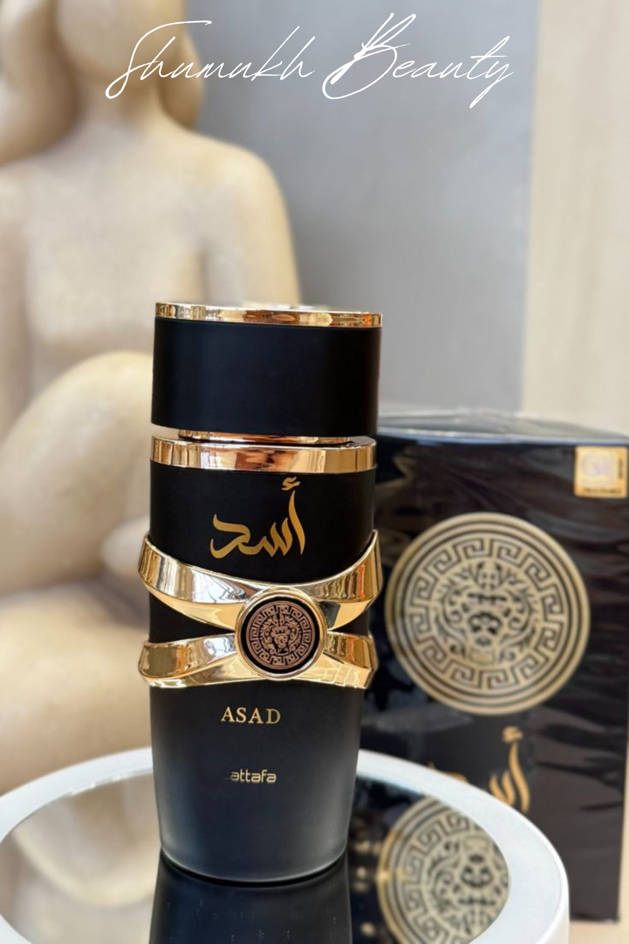 أسد لطافة أسد لطافة